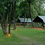 Little Governors Camp