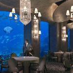 Atlantis The Palm Dubai