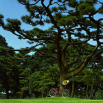 Four Seasons Marunouchi
