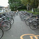 Велосипедная стоянка в Японии