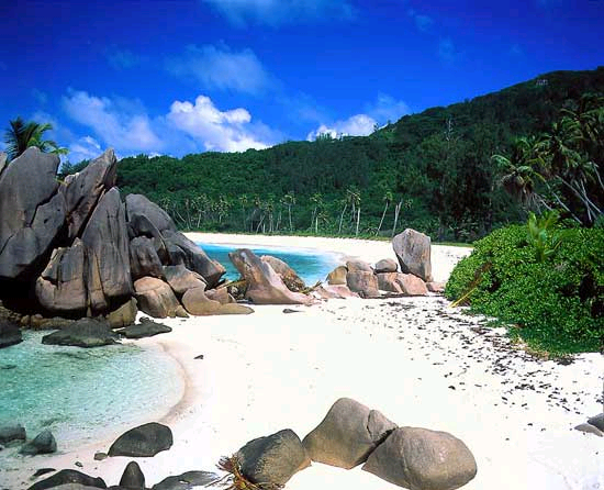 Пляж на Сейшельских островах