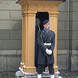 Шведский военнослужащий