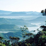 Вид на холмы Шри-Ланки