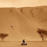 Гонки в пустыне Оман
