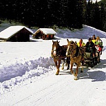 Поездки на лошадях зимой в Австрии