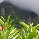 Вид гор на Французской Полинезии